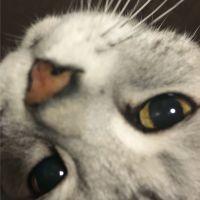 ルル君 会員画像