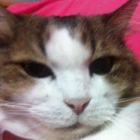 りんママだよ 会員画像