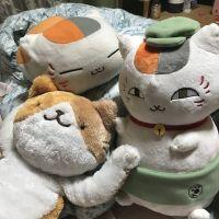 いぐさ 会員画像