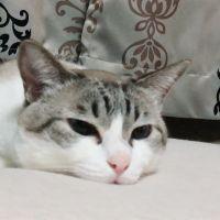 会員画像