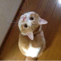 会員画像