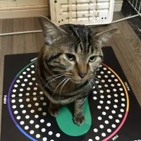 まるたろうさんさん