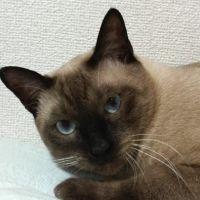 会員画像