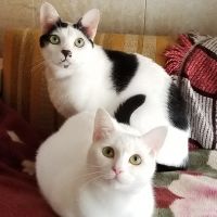 えりぽこ 会員画像