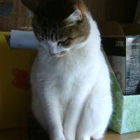 会員画像