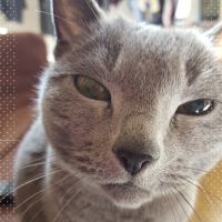 テトト 会員画像