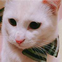 会員画像