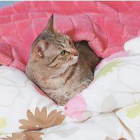 会員画像