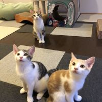 うーきー 会員画像