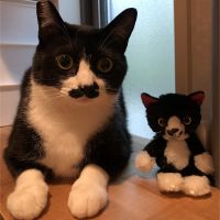 じむくろう 会員画像