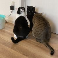 soukiさん