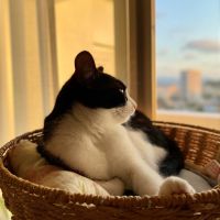 daigyam 会員画像