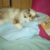 まっすー0823 会員画像