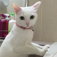 るいるいこ 会員画像