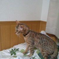 えっちゃん♪ 会員画像
