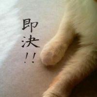 もんぺねこ 会員画像