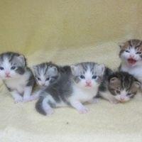 タ〜とミ〜 会員画像