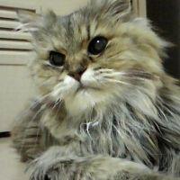のぞみみ 会員画像