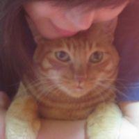 おすまし茶々丸 会員画像