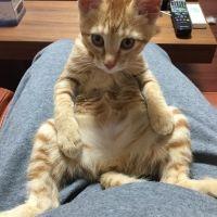 ろじょぉ 会員画像