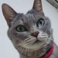 会員画像