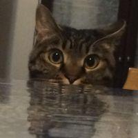 kjtr_pp 会員画像
