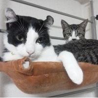 気ままあきママ 会員画像