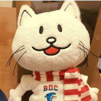 アオヤマ 会員画像