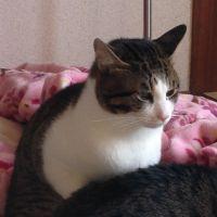 会員画像