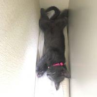 ヴァル79 会員画像