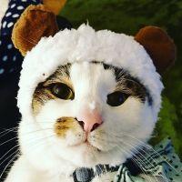 会員画像