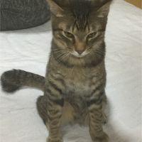 chiiro 会員画像
