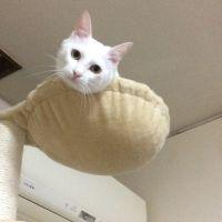 会員画像
