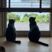会員画像
