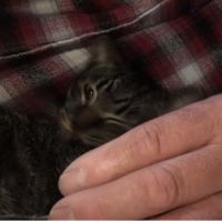 八ちゃん 会員画像