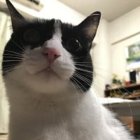 会員画像