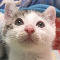 会員画像