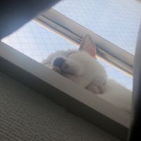 会員画像