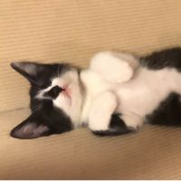 うじょ 会員画像