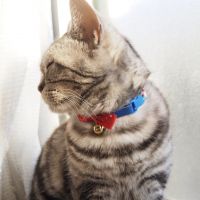 あんだーばー 会員画像