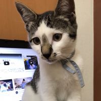 さばしろ みなみく 会員画像