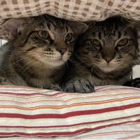 ウニトロしいな