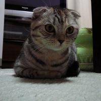 会員画像