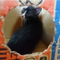 会員画像