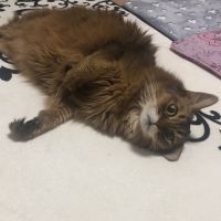 会員画像