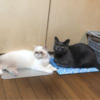 会員画像