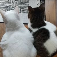 会員画像