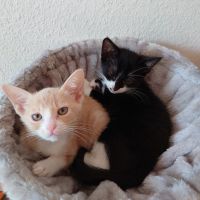 まーちゃん❣️ 会員画像