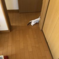 ちーーーぃ 会員画像