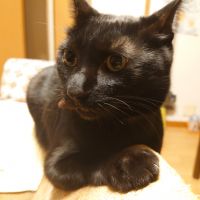 のああず 会員画像